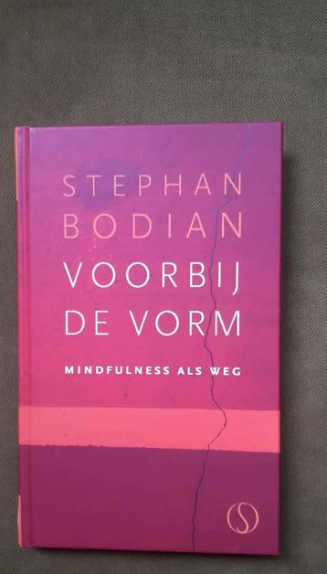 Steven Bodian - Voorbij de vorm beschikbaar voor biedingen