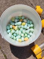 Vogeleitjes voor kanaries of tropen, Ophalen of Verzenden, Zo goed als nieuw, Overige typen