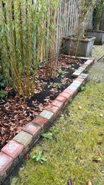 Gratis ophalen: Bestrating ca. 20m2, Tuin en Terras, Tegels en Klinkers, Ophalen, Gebruikt, Beton, Overige typen