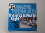 AMAZING RHYTHM ACES -  the end is not in sight - 7", Gebruikt, 7 inch, Single, Ophalen of Verzenden