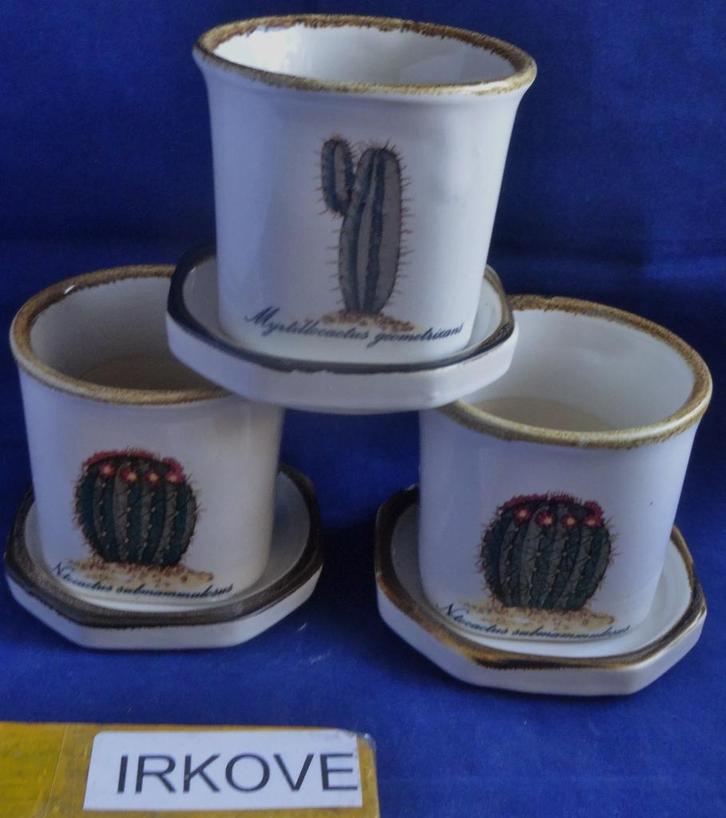 4 CACTUS POTJES * Met Schotel * En VINTAGE REKJE! *, Tuin en Terras, Bloempotten, Zo goed als nieuw, Aardewerk, Binnen, Balkon