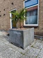 Kunstof Plantenbak 1m2/ 80cm hoog, Ophalen, Kunststof, Gebruikt, 100 cm of meer