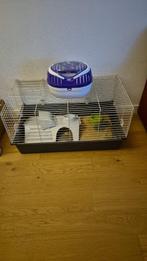 cavia kooi - reisbak, voer etc (compleet), Dieren en Toebehoren, Kooi, Gebruikt, Hamster, 75 tot 110 cm