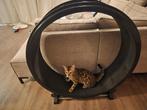 Katten loopwiel/looprad, Dieren en Toebehoren, Katten-accessoires, Ophalen, Zo goed als nieuw