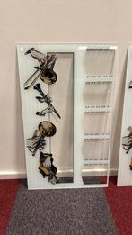 Glasplaat nieuw AY100 Seeburg, Verzamelen, Automaten | Jukeboxen, Ophalen, Zo goed als nieuw, 1950 tot 1960, Seeburg