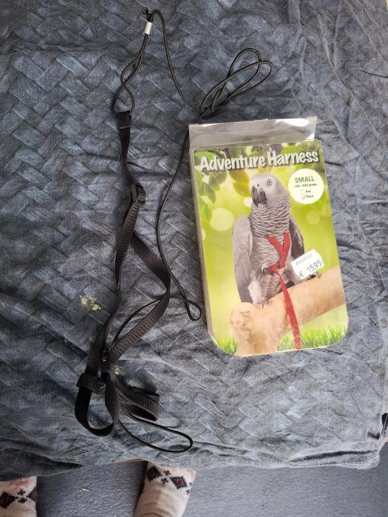 Tuigje voor vliegende papagaai maat s, Ophalen