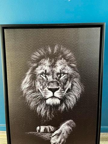 Canvas schilderij - Leeuw zwart wit beschikbaar voor biedingen