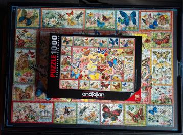 Anatolian - Lots of Butterflies beschikbaar voor biedingen