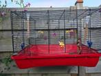 Kooi, Dieren en Toebehoren, Vogels | Hokken en Kooien, Ophalen of Verzenden, Zo goed als nieuw, Vogelkooi