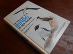 The new guide to the birds of New Zealand, Boeken, Natuur, Gelezen, Vogels, Ophalen of Verzenden, R.A.Falla