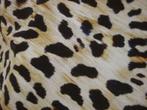 STUDIO ANNELOES🍂 dierenprint top bell sleeve mt S, Verzenden, Zo goed als nieuw, Lange mouw, Maat 36 (S)