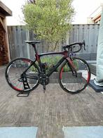 pinarello Dogma F10 Champagnolo Chorus, Overige merken, Carbon, Ophalen of Verzenden, Meer dan 20 versnellingen