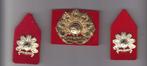 baretembleem en set kraagpatten Oranje Gelderland, Verzamelen, Ophalen of Verzenden, Landmacht, Nederland, Embleem of Badge