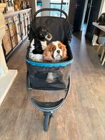 Te koop honden buggy xl tot 40 kilo, Dieren en Toebehoren, Ophalen, Zo goed als nieuw