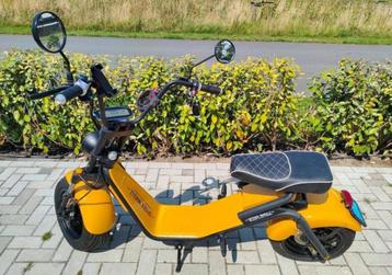 Te koop: Hippe Choppers! In unieke kleuren beschikbaar voor biedingen