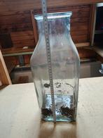 Grote vaas, Huis en Inrichting, Woonaccessoires | Vazen, Ophalen, Overige kleuren, Minder dan 50 cm, Glas