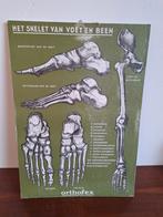 Poster van het skelet van voet en been, Ophalen of Verzenden