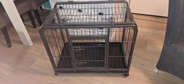 Honden Bench beschikbaar voor biedingen