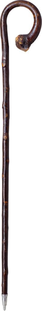 Wandelstokken/outdoor stokken, Verzenden, Nieuw, Wandelstok