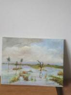 schilderij Wim v Schadewijk water landschap, Antiek en Kunst, Kunst | Schilderijen | Klassiek, Ophalen