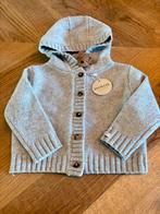Marino wol vest grijs Donsje Amsterdam 6-12 maanden, Nieuw, Donsje Amsterdam, Ophalen of Verzenden, Truitje of Vestje