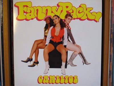 FannyPack - Cameltoe 12 inch, Cd's en Dvd's, Vinyl | Dance en House, Zo goed als nieuw, Dance Populair, 12 inch, Ophalen of Verzenden