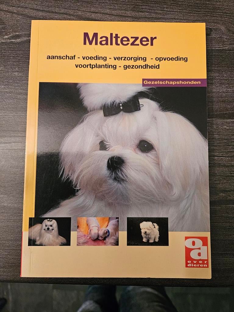 Malteser Hond Gezelschapshonden Boek, Ophalen of Verzenden, Zo goed als nieuw, Diverse