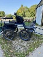 Recreatie marathon wagen, Dieren en Toebehoren, Ophalen, Zo goed als nieuw, Overige soorten