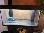 Juwel aquarium, Ophalen, Zo goed als nieuw, Gevuld zoetwateraquarium