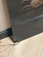 Melkmeisje Schilderij met Plexiglas - Beschadigde Hoek, Ophalen of Verzenden