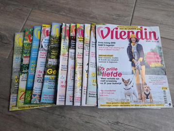 11x Vriendin  beschikbaar voor biedingen