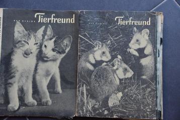 Der Kleine Tierfreund. 15 Ingebonden maandbladen. beschikbaar voor biedingen