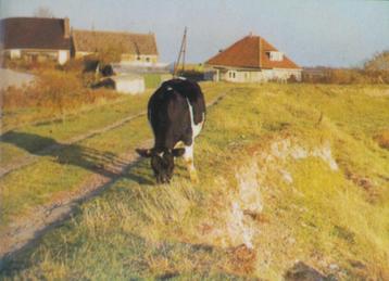 Landelijk Nederlamd - Prachtig boek beschikbaar voor biedingen