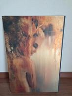 Aluminium Dibond illustraties 40 x 60cm, Antiek en Kunst, Ophalen