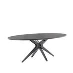 Deens ovale eettafel 225x120 cm (Levado, Profijt Meubel), Huis en Inrichting, Ophalen, Kunststof, 100 tot 150 cm, 200 cm of meer