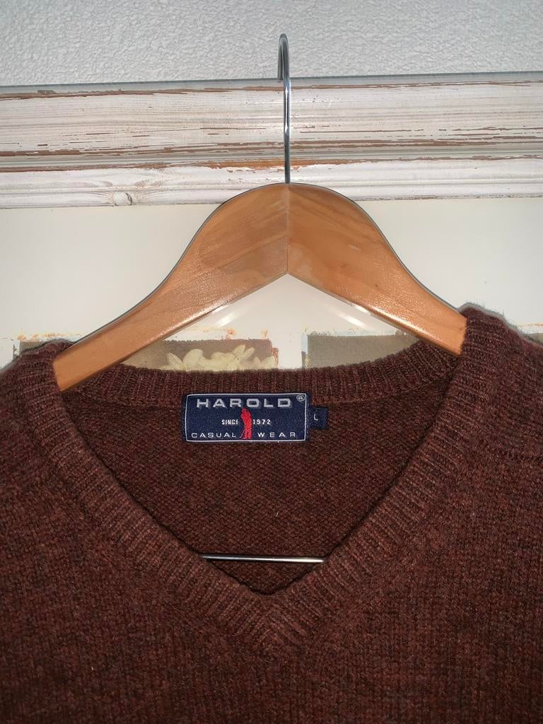 Bruine Harold trui maat L, Kleding | Heren, Ophalen of Verzenden, Zo goed als nieuw, Maat 52/54 (L), Bruin