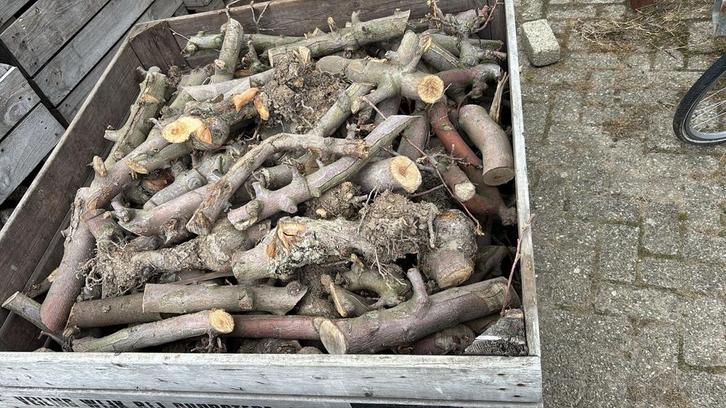 Appelhout Haardhout - 2 jaar gedroogd, Tuin en Terras, Haardhout, Takken, Overige houtsoorten, Minder dan 3 m³, Ophalen of Verzenden