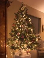 Excellent Kerstboom Ulvik 150 zonder lichtjes, Diversen, Verzenden, Zo goed als nieuw