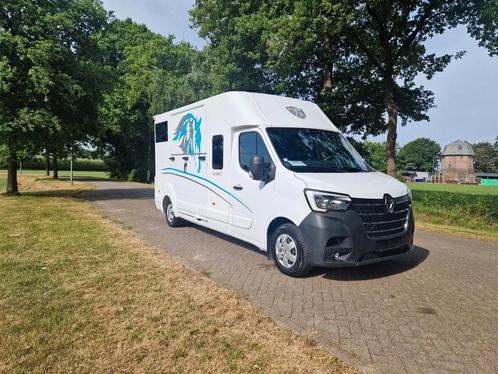 Paardenwagen Barbot Renault Master automaat hengsten uitvoer, Dieren en Toebehoren, Paarden en Pony's | Trailers en Aanhangwagens