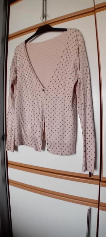 Noppen Vestje - Maat 40 beschikbaar voor biedingen