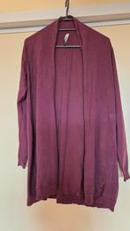 Miss Etam Aubergine Vest - XXL, Paars, Maat 46/48 (XL) of groter, Ophalen of Verzenden, Zo goed als nieuw