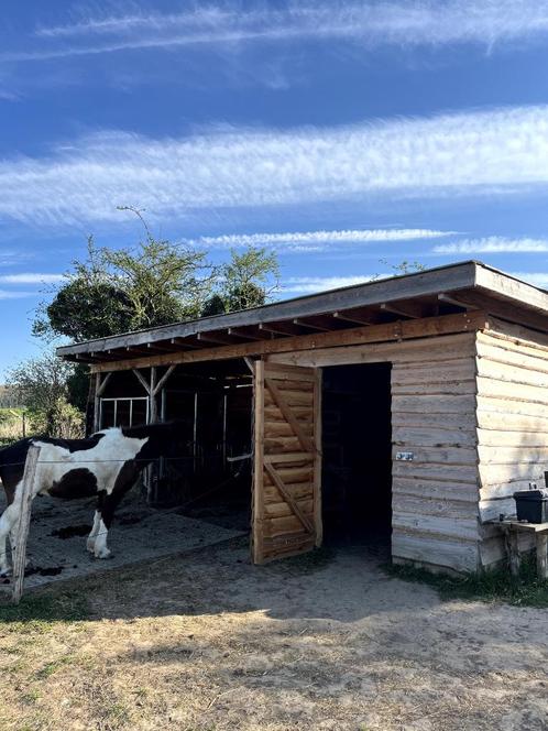 paardenstal, Dieren en Toebehoren, Stalling en Weidegang, Stalling, 2 of 3 paarden of pony's