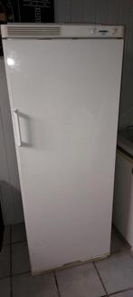 Zanker vriezer met 6 lades - werkt nog prima!, Witgoed en Apparatuur, Koelkasten en IJskasten, Ophalen, 150 tot 200 liter, Gebruikt