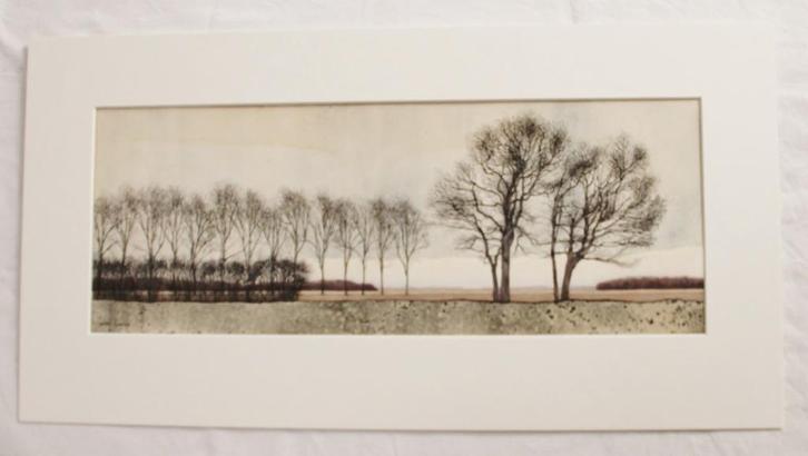 Hetty Geursen: collage van Drents landschap met boomwallen, Antiek en Kunst, Kunst | Schilderijen | Klassiek, Ophalen of Verzenden