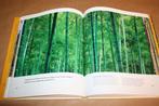 WNF. Bossen onmisbaar voor mens en natuur., Boeken, Ophalen of Verzenden, Zo goed als nieuw