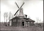 (GN173a) FOTO Warffum molen De David zwartwit 10x14 cm, Verzamelen, Foto's en Prenten, 1960 tot 1980, Verzenden, Foto, Zo goed als nieuw