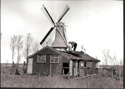 (GN173a) FOTO Warffum molen De David zwartwit 10x14 cm, Verzamelen, Foto's en Prenten, Zo goed als nieuw, Foto, Gebouw, 1960 tot 1980