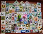 - 380 - 100 Vogels zegels + Blokje.  U krijgt wat U ziet., Verzenden, Gestempeld, Dier of Natuur