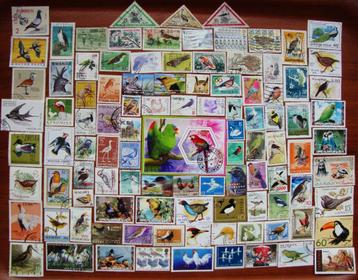 - 380 - 100 Vogels zegels + Blokje.  U krijgt wat U ziet.  beschikbaar voor biedingen