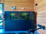 Aquarium (groot model ) te koop. 630 liter, Dieren en Toebehoren, Vissen | Aquaria en Toebehoren, Ophalen, Gebruikt, Gevuld zoetwateraquarium